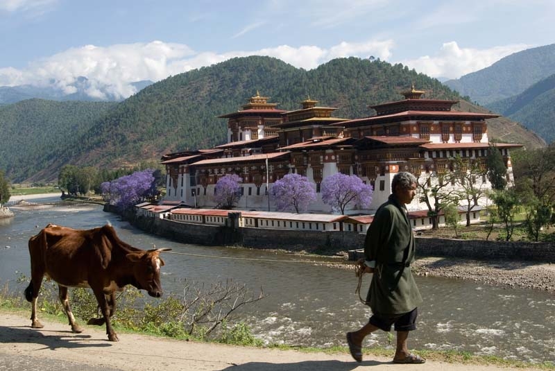 Punakha Dzong (2)
