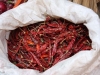 Red chillies