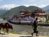Punakha Dzong (2)